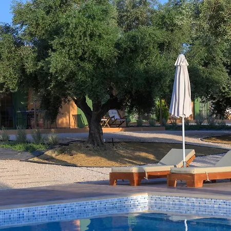 Eleon Olive Retreat - Skourochori *